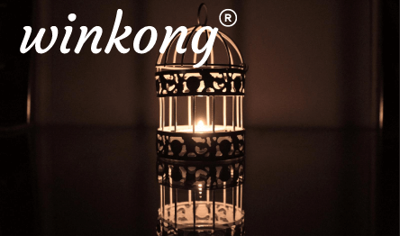 【winkong】日本11类商标转让