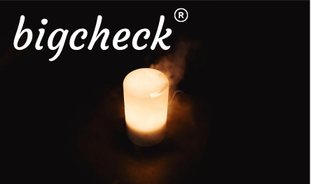 【bigcheck】日本11类商标转让