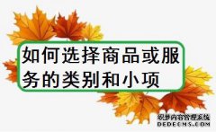 注册商标如何选择商品或服务的类别和小项？
