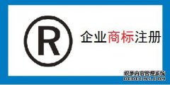 企业注册商标可以在网上申请吗？