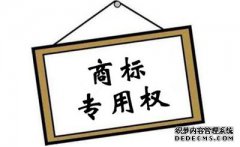 注册商标专用权是指什么？