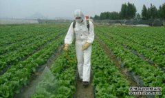 农药商标转让价格多少钱