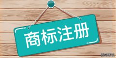 公司怎样注册商标,公司注册流程怎么做