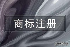 企业商标注册流程有哪些
