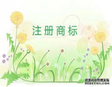 商标权的海关保护是如何的？
