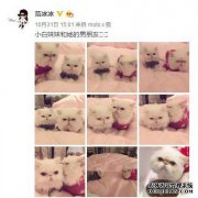  天猫商标你也可以有  商标转让就能愿望成真 