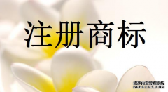第10类商标转让需要哪些材料 