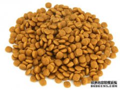 购买一个狗粮商标需要多少钱？