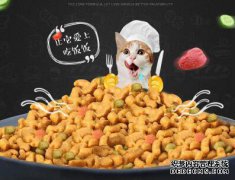 买一个猫粮商标需要多少钱？
